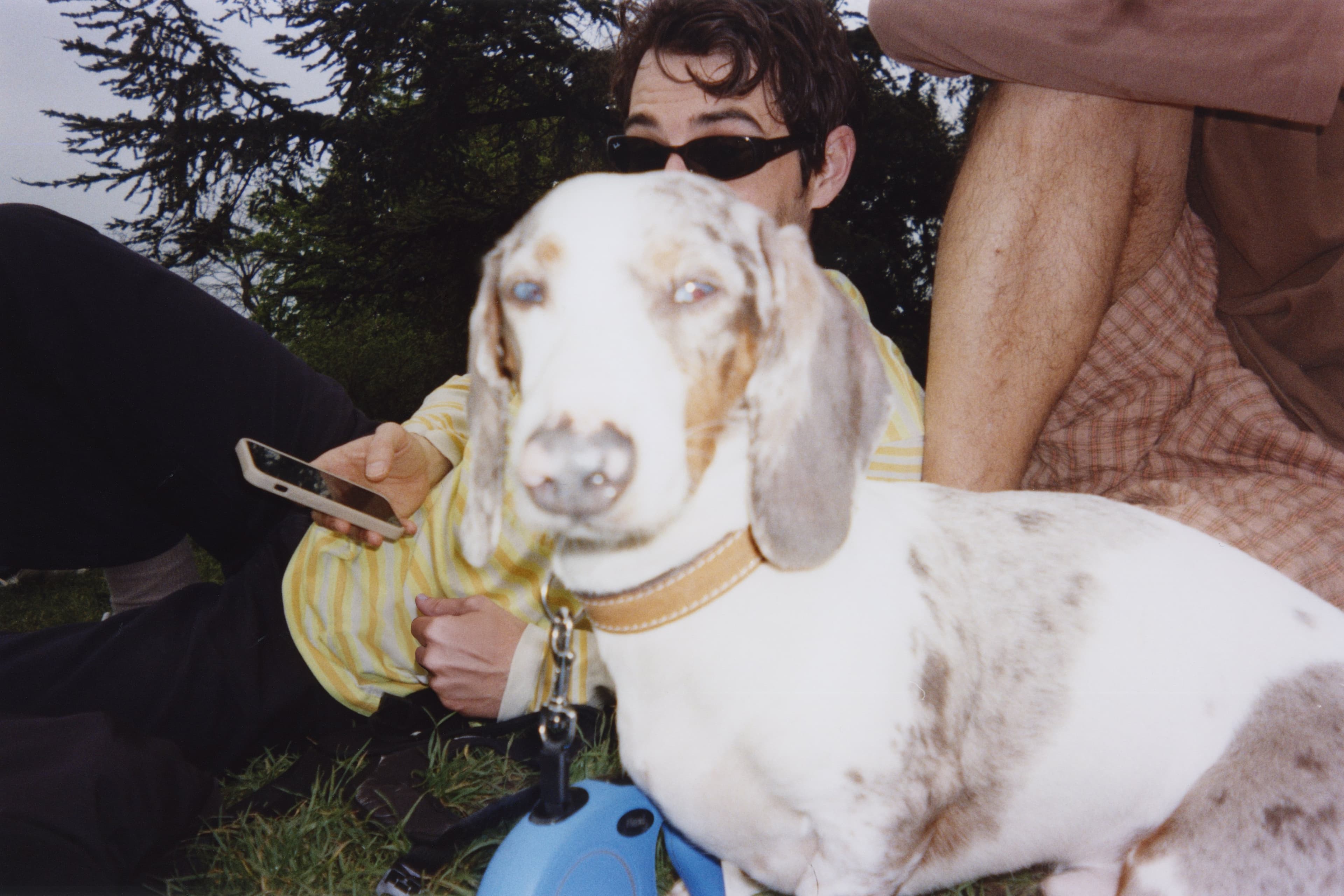 Contribution highlight posted by Pietro